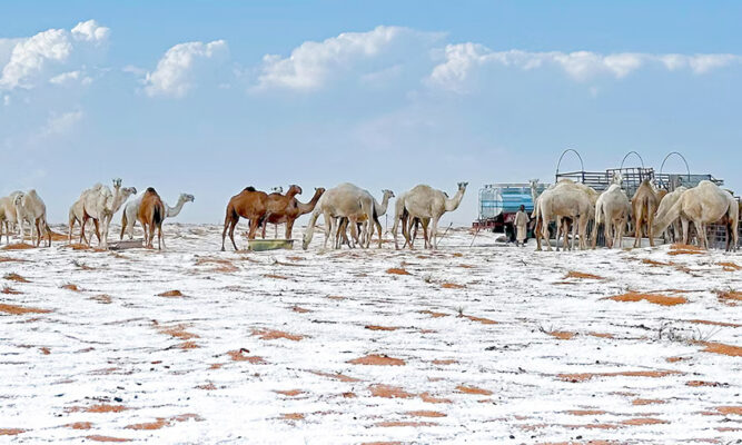 El desierto de Arabia Saudita se cubrió  de nieve por primera vez en su historia