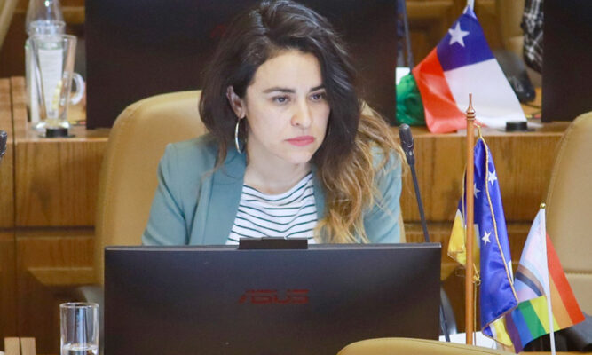 Diputada Morales llamó a realizar una “defensa  transversal” del Plan de Zonas Extremas