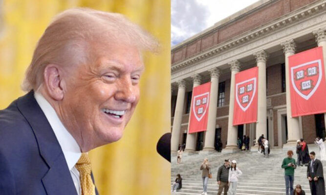Harvard cede ante Trump y cierra oficinas para minorías sexuales, LGBTQ y mujeres