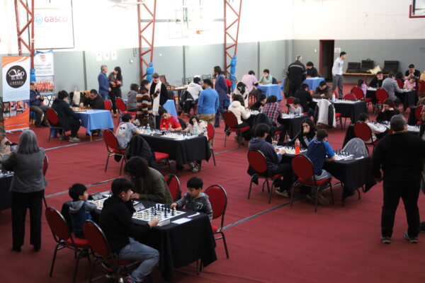 Masiva participación en campeonato de ajedrez | La Prensa Austral