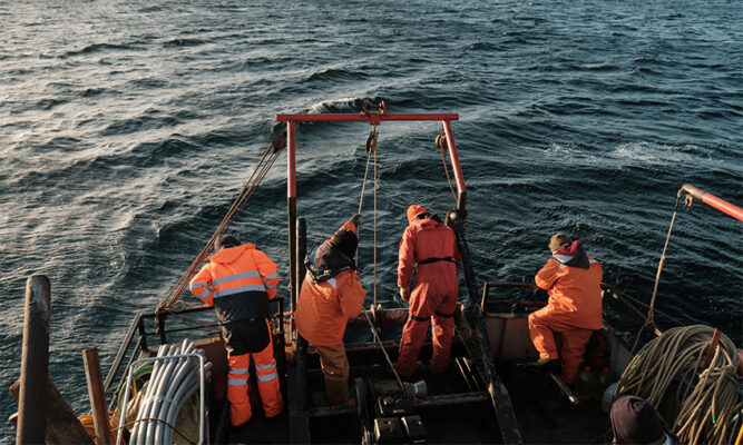 Bahía Inútil revela un tesoro oculto: estudio inédito descubre extraordinaria biodiversidad marina – La Prensa Austral