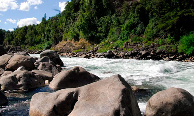 Ministerio del Medio Ambiente suspende proceso  para definir sitios prioritarios de biodiversidad