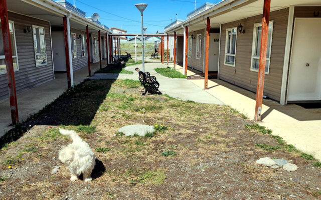 “¿Qué reclaman, si los ratones  andaban en sus techos?”