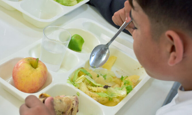 Junaeb ratificó la continuidad  del Programa de Alimentación