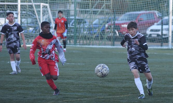 Pingüino, San Felipe, el “18” e Independencia se coronaron campeones en las series menores