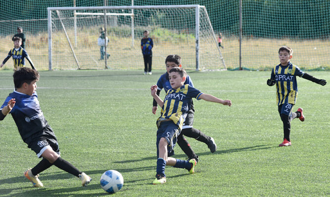 En rodaje las liguillas del Torneo Apertura de menores
