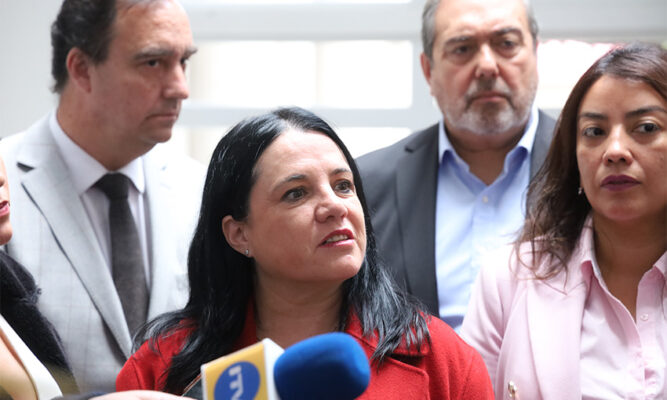 Ministra de Seguridad prometió suma urgencia a proyecto  que controlaría los más de 300 aeródromos de Chile