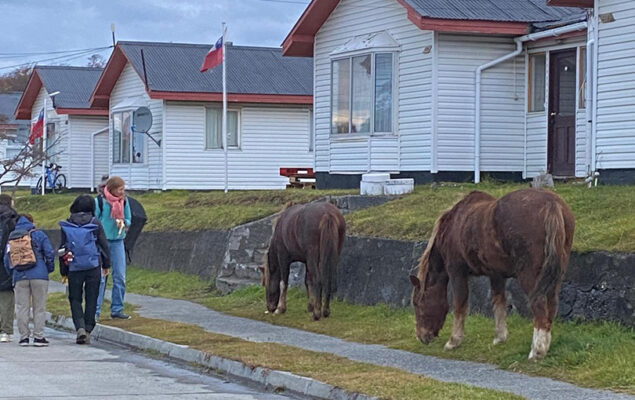 No sólo  Punta Arenas…