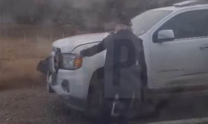 Camioneta chilena chocó con un guanaco en Río Grande