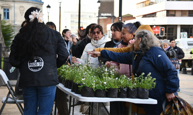 Municipio entregó plantas en la Plaza