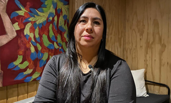 Investigadora estudia roedores para anticiparse a brotes de hantavirus