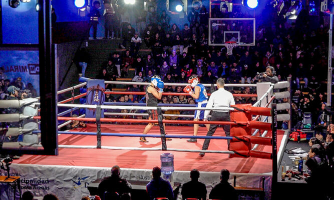 Una fiesta del boxeo amateur