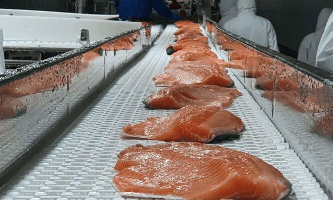 Informe de EE.UU. volvió a incluir la acuicultura entre los sectores de Chile donde se detecta trabajo forzoso